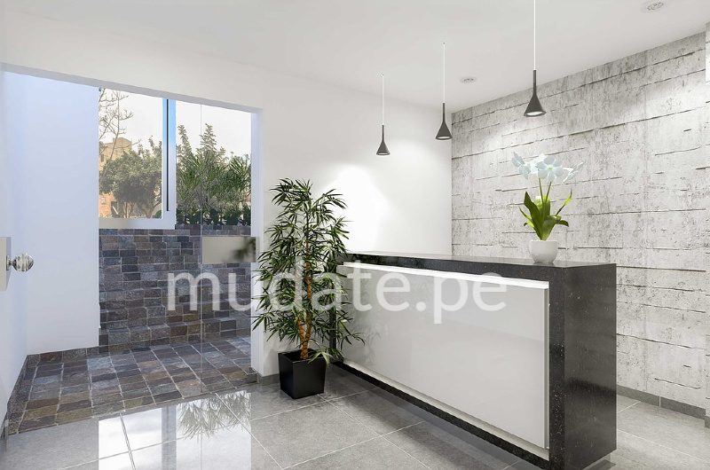 Proyecto Barrenechea Departamento San Borja Mudate