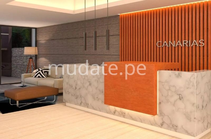 Proyecto Canarias San Borja Departamento Mudate