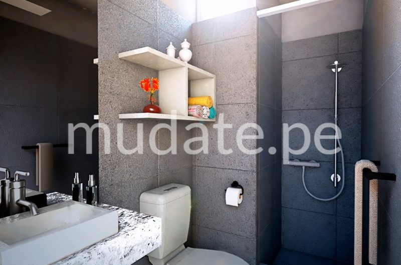 Proyecto Buenaventura VI Departamento San Borja Mudate